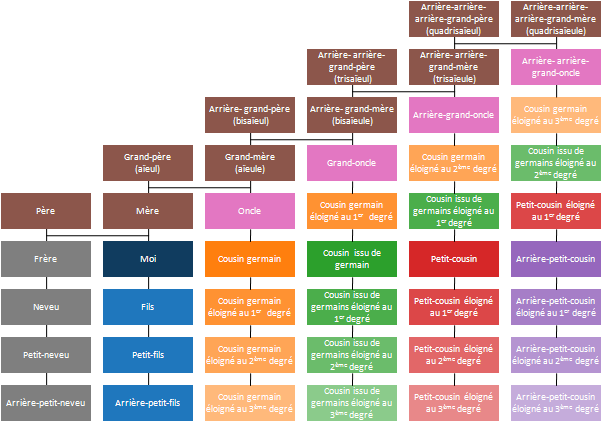 schéma des liens de parenté avec les lignes et les degrés.