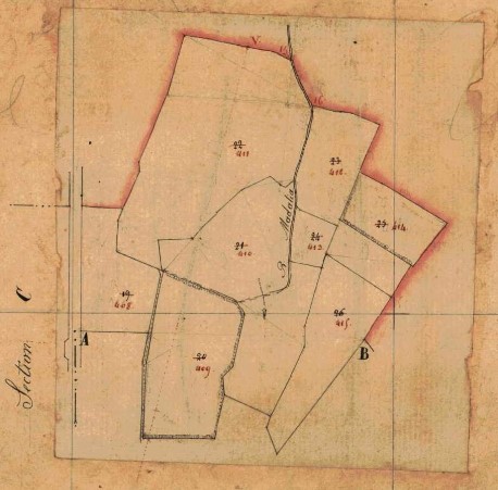 Lire la suite à propos de l’article Les maisons d’Irouléguy