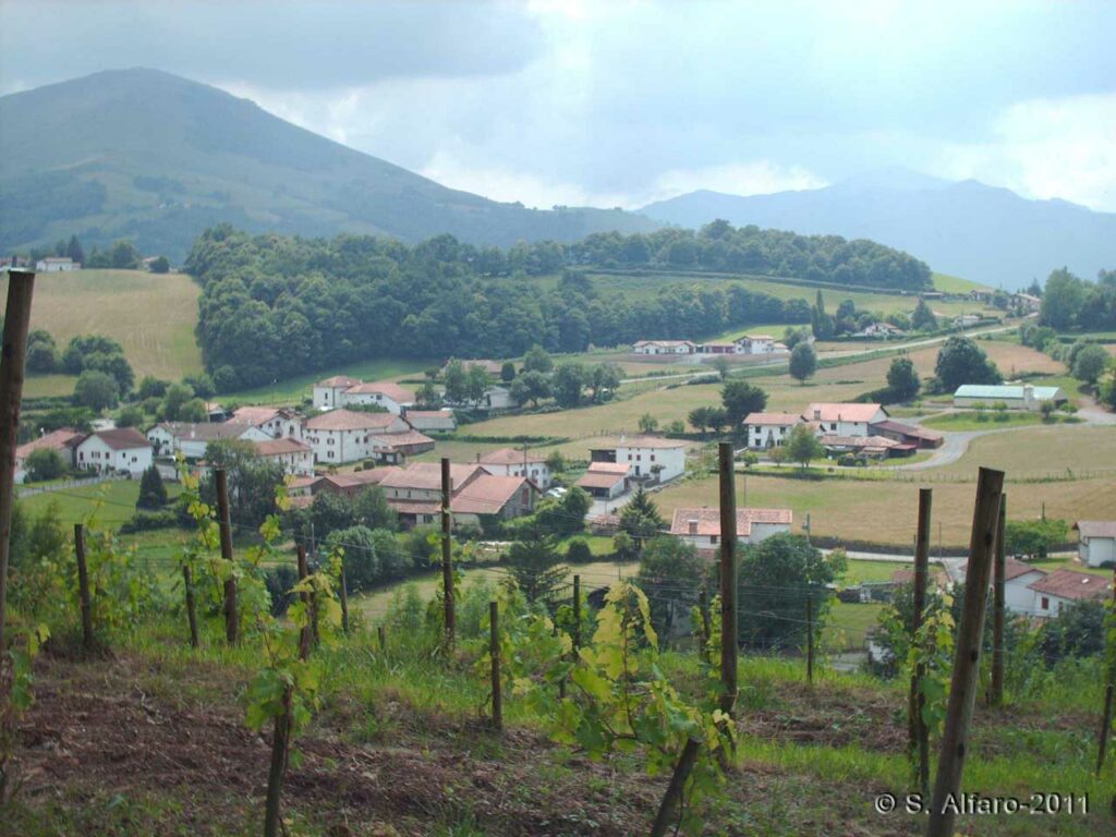 Irouléguy, vue des coteaux