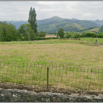 A quoi ressemblait la vie d’un cordonnier basque au XVIII<sup>e</sup> siècle ?