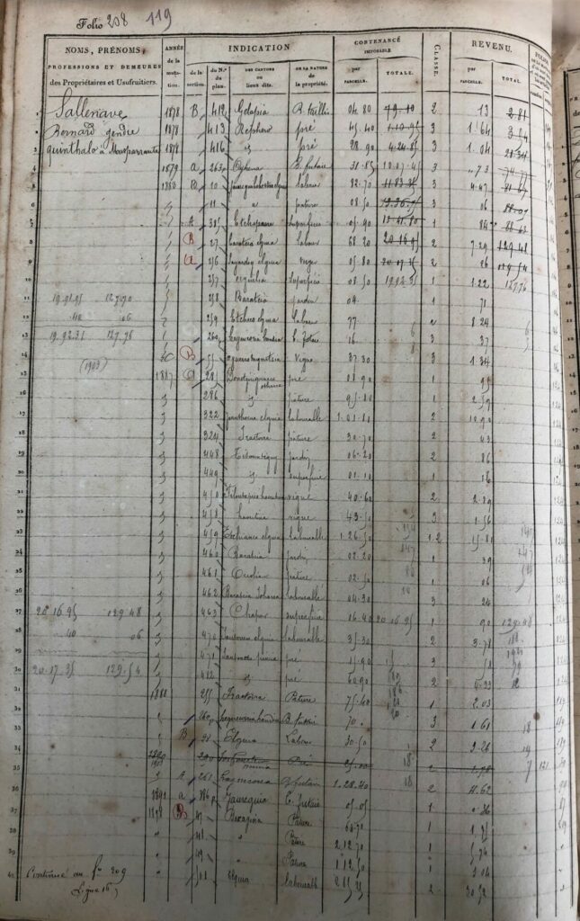 Matrice cadastrale de Masparraute, folio 208 : compte de Bernard Sallenave et ligne A 385, Etchepare.
